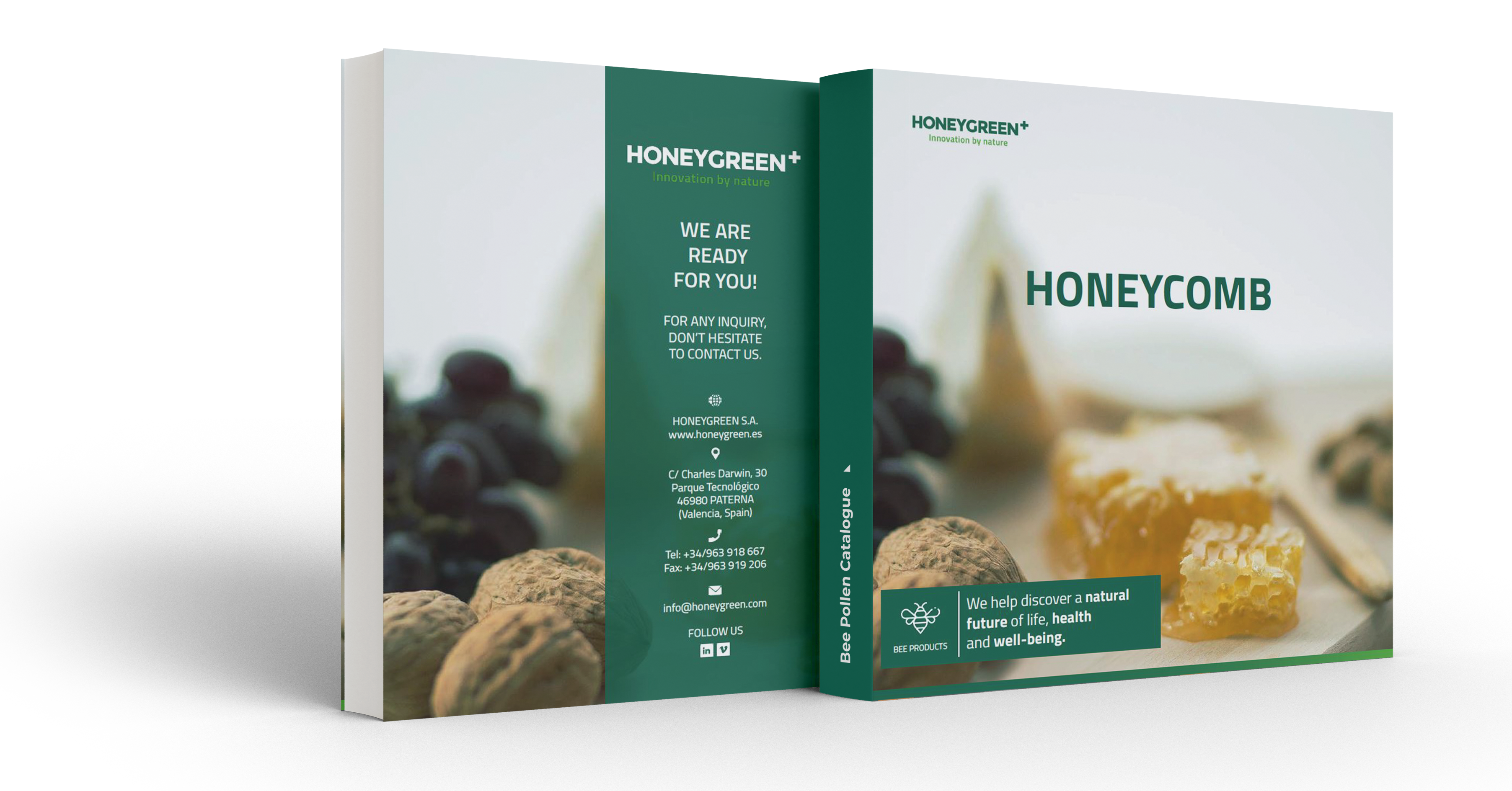 Honeycomb catalogue