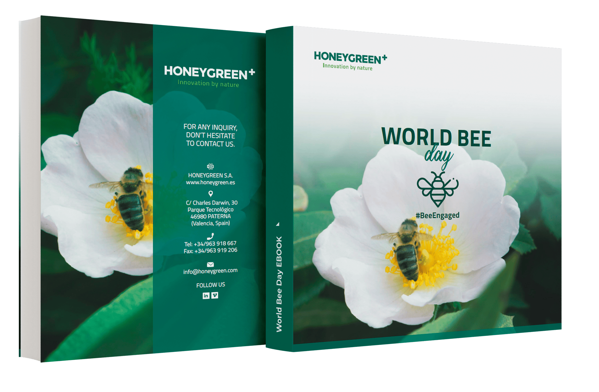 honeygreen-world-bee-day